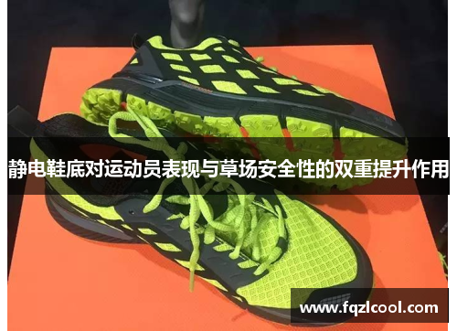 静电鞋底对运动员表现与草场安全性的双重提升作用